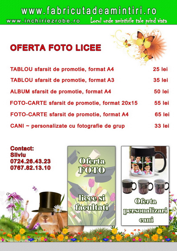 OFERTA-LICEE-2013